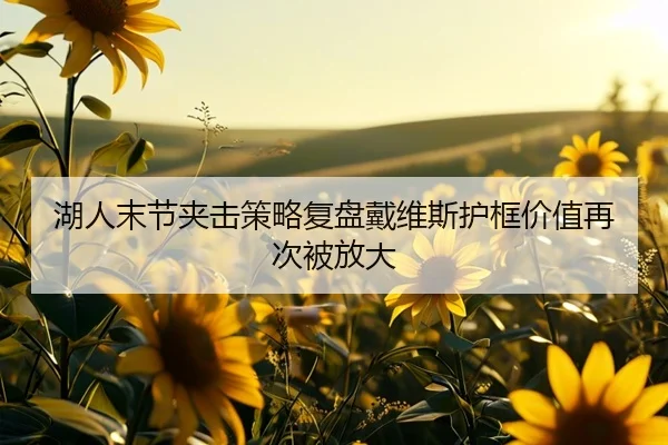 湖人末节夹击策略复盘戴维斯护框价值再次被放大